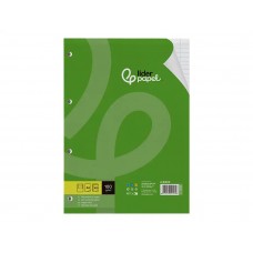 RECARGA LIDERPAPEL DIN A4 100F 100G PAUTADO